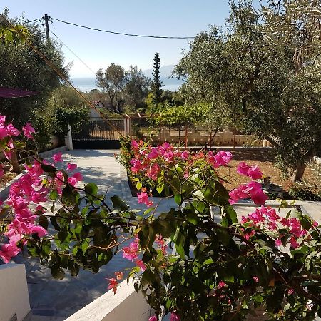 Panorama Apartment Eretria  Bagian luar foto