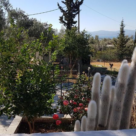 Panorama Apartment Eretria  Bagian luar foto