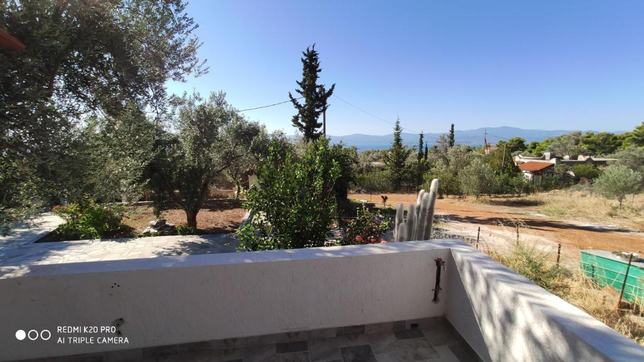 Panorama Apartment Eretria  Bagian luar foto