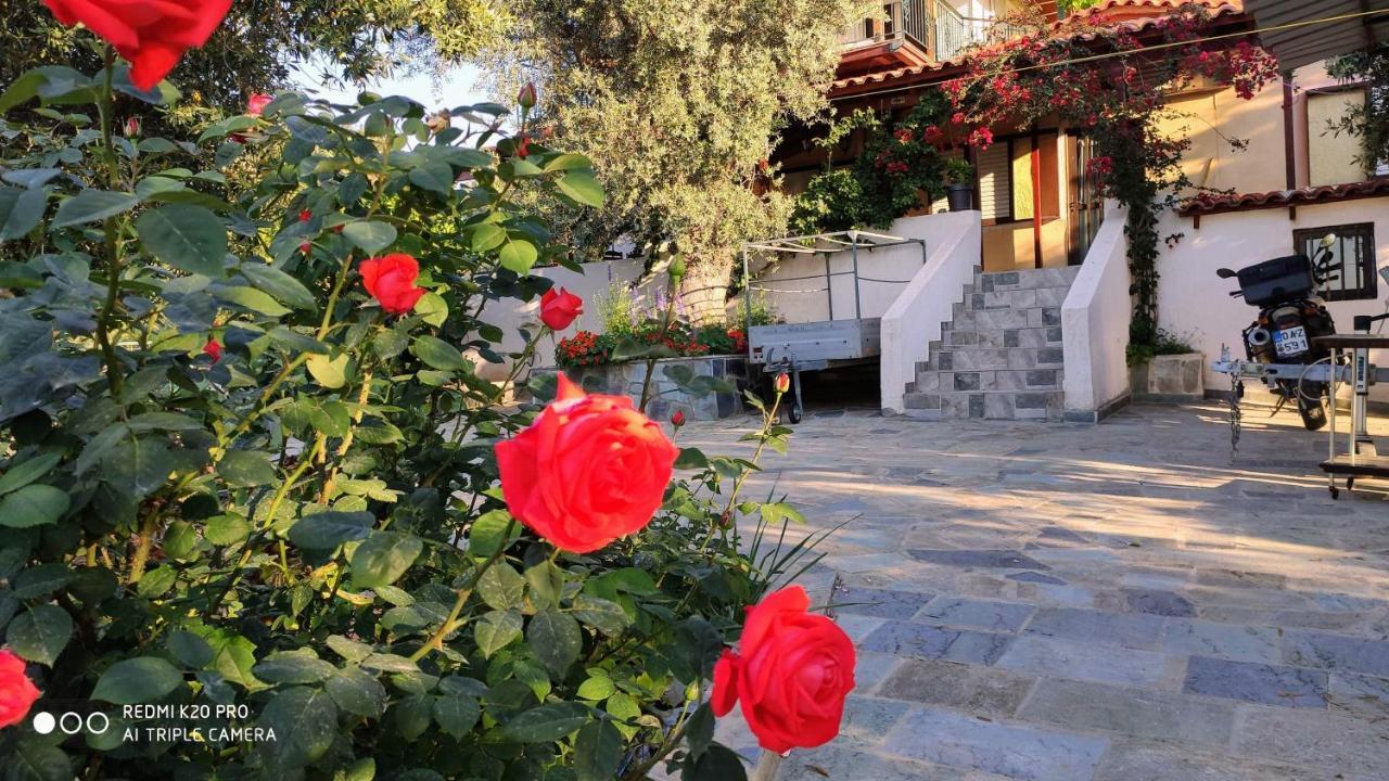 Panorama Apartment Eretria  Bagian luar foto