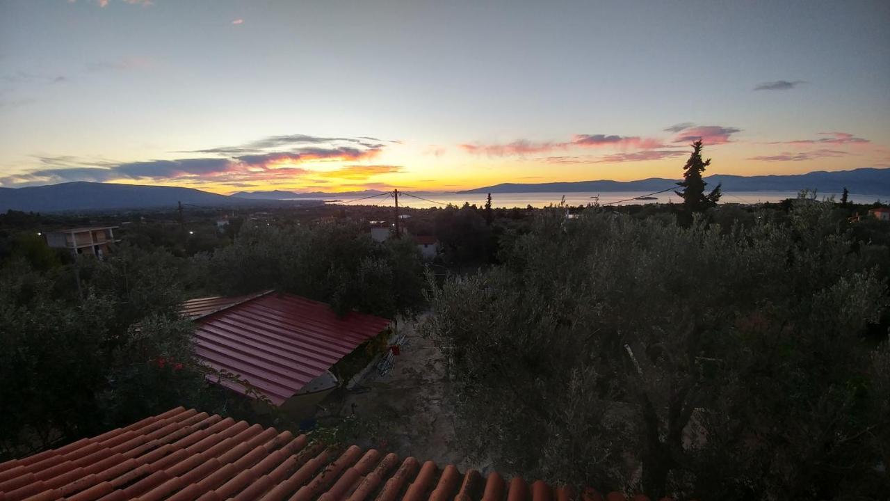 Panorama Apartment Eretria  Bagian luar foto