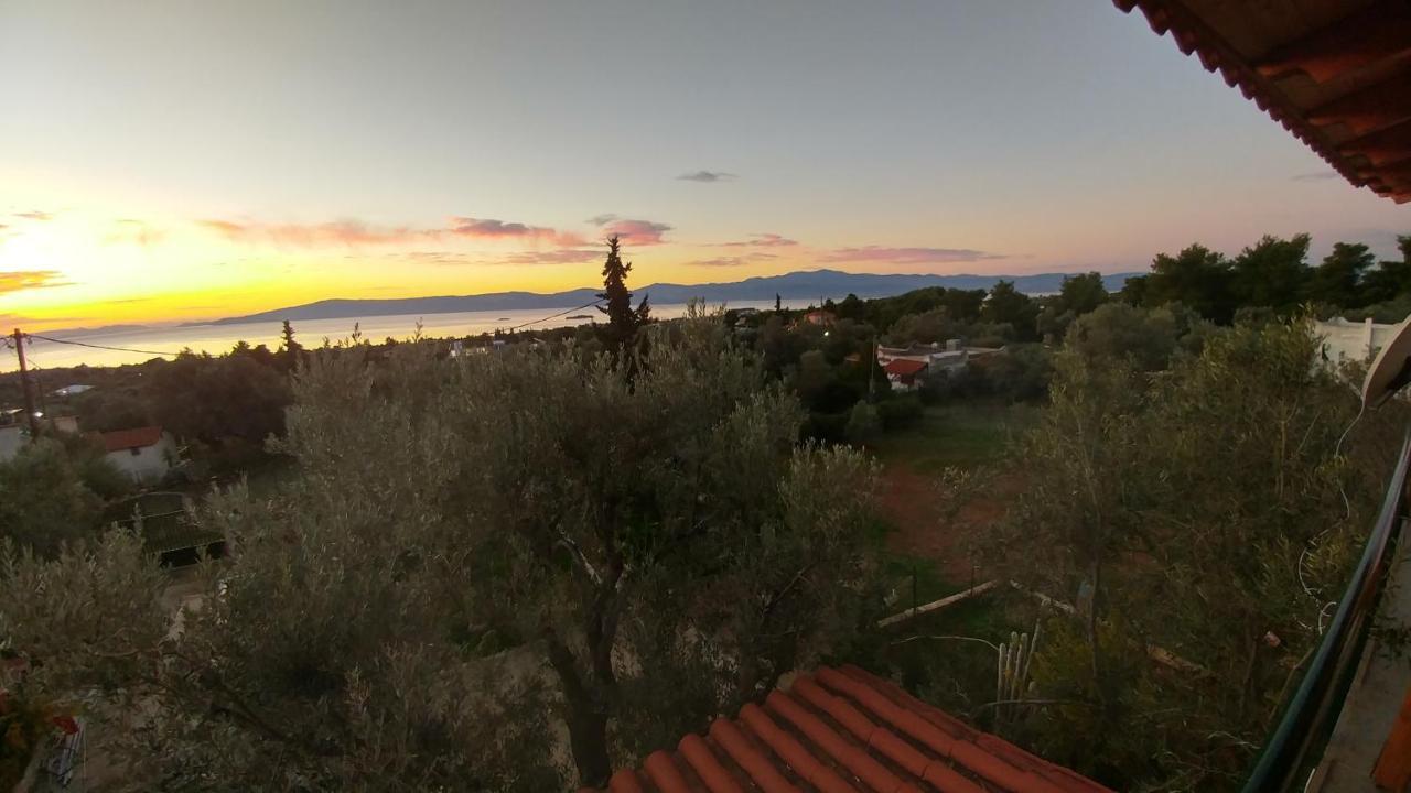 Panorama Apartment Eretria  Bagian luar foto