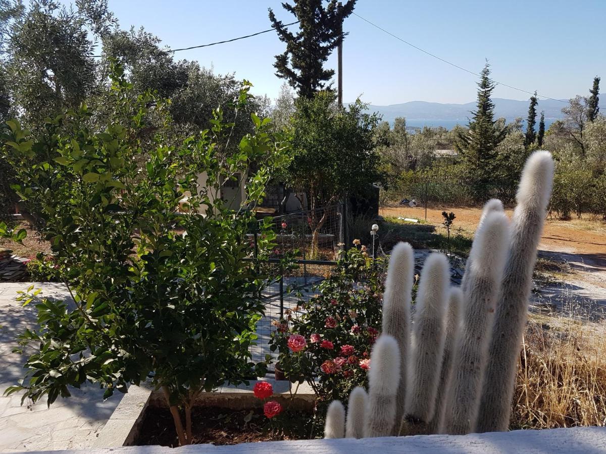 Panorama Apartment Eretria  Bagian luar foto
