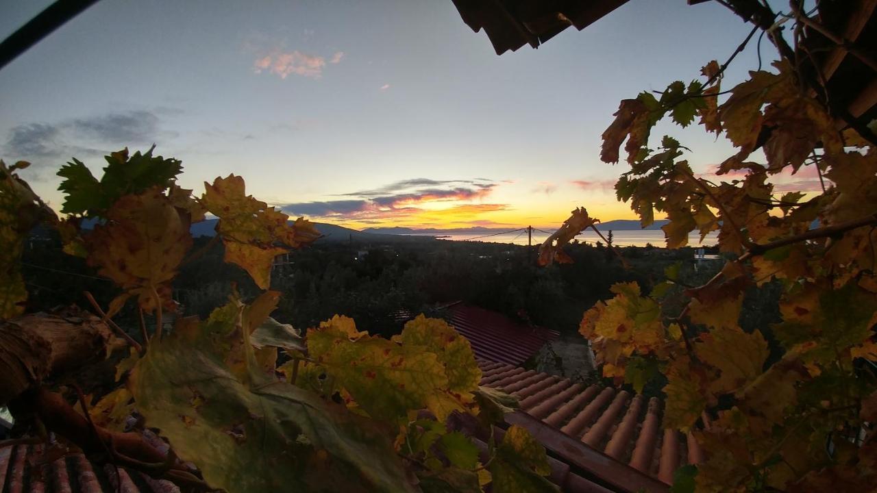 Panorama Apartment Eretria  Bagian luar foto